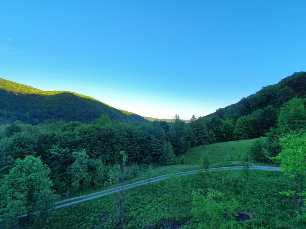 Sunrise Glamping Retreat Hotell Galesu Eksteriør bilde